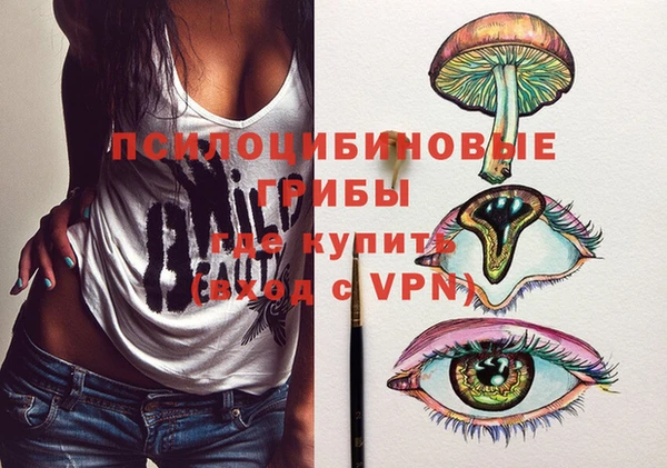гашик Киренск