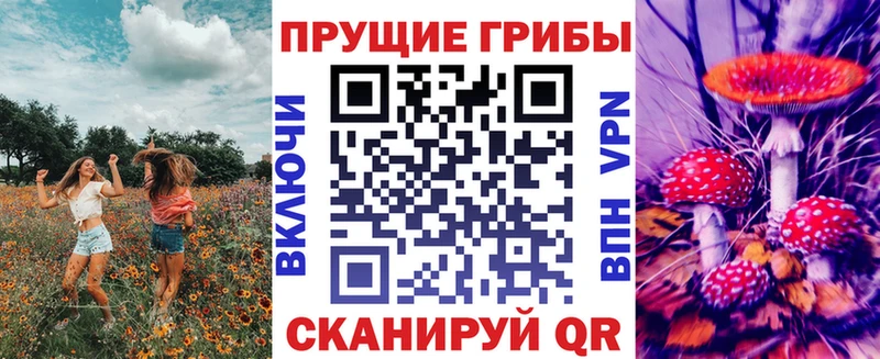 Купить закладки  Новочеркасск  Псилоцибиновые грибы ЛСД 
